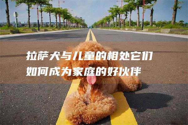 拉萨犬与儿童的相处它们如何成为家庭的好伙伴