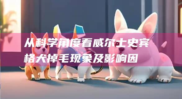 从科学角度看威尔士史宾格犬掉毛现象及影响因