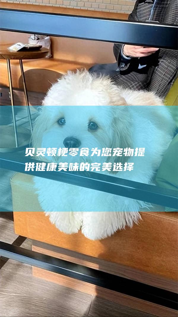 贝灵顿梗零食为您宠物提供健康美味的完美选择