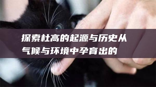 探索杜高的起源与历史从气候与中孕育出的
