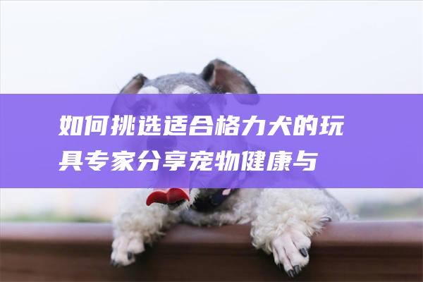 如何挑选适合格力犬的玩具专家分享宠物健康与