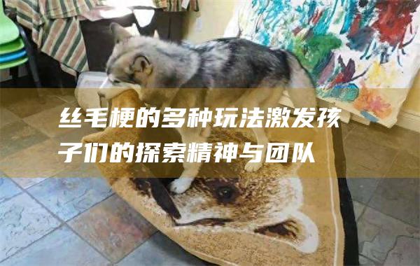 丝毛梗的多种玩法激发孩子们的探索精神与团队