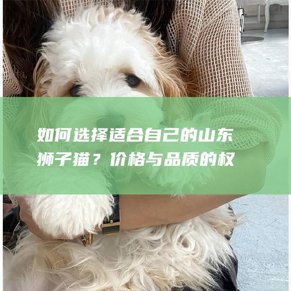 如何选择适合自己的山东狮子猫？价格与品质的权