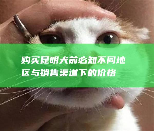 购买昆明犬前必知不同地区与销售渠道下的价格