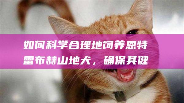 如何科学合理地饲养恩特雷布赫山地犬，确保其健