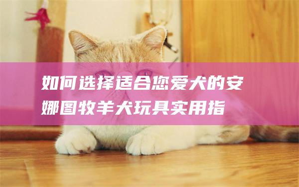 如何选择适合您爱犬的安娜图牧羊犬玩具实用指