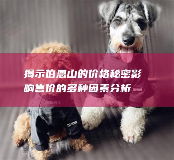 揭示伯恩山的价格秘密影响售价的多种因素分析