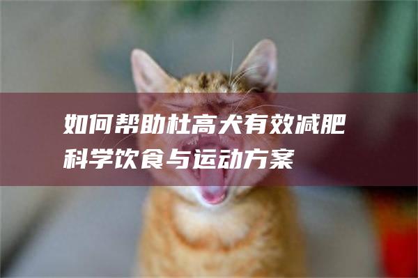 如何帮助杜高犬有效减肥科学饮食与运动方案