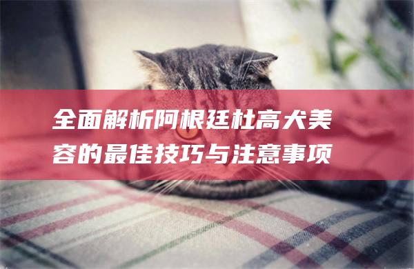 全面解析阿根廷杜高犬美容的最佳技巧与注意事项
