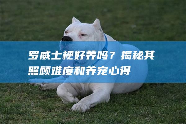 罗威士梗好养吗？揭秘其照顾难度和养宠心得