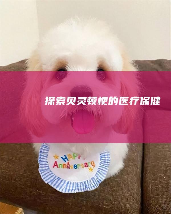 探索贝灵顿梗的医疗保健