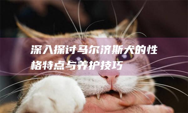 深入探讨马尔济斯犬的性格特点与养护技巧