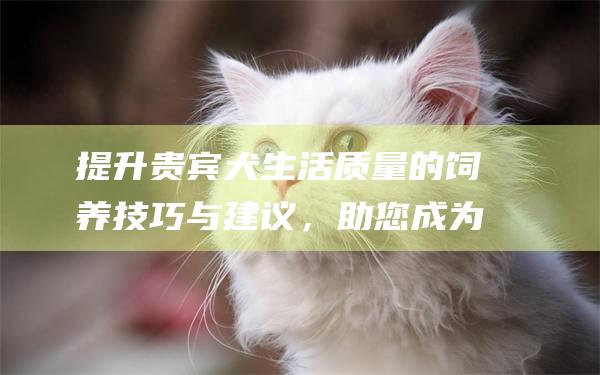 提升贵宾犬生活质量的饲养技巧与建议，助您成为