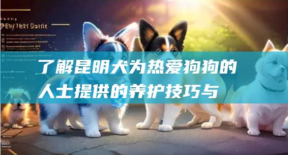 了解昆明犬为热爱狗狗的人士提供的养护技巧与