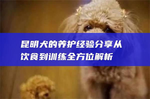 昆明犬的养护经验分享从饮食到训练全方位解析