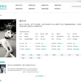 格力犬训练教程
