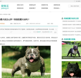 美国恶霸犬该怎么养？美国恶霸犬凶吗？