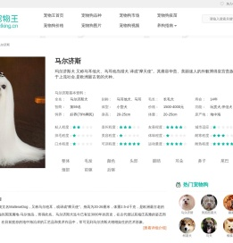 马尔济斯