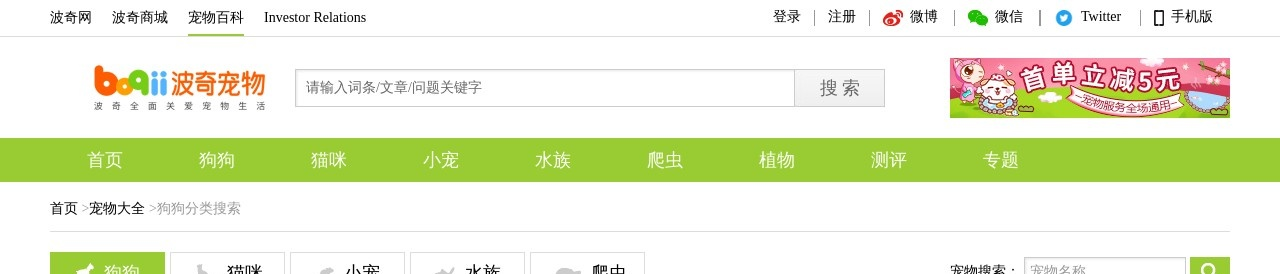 小型梗类犬
