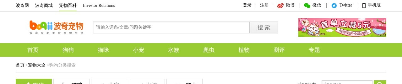 小型守卫犬