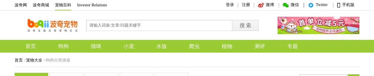 小型看家犬
