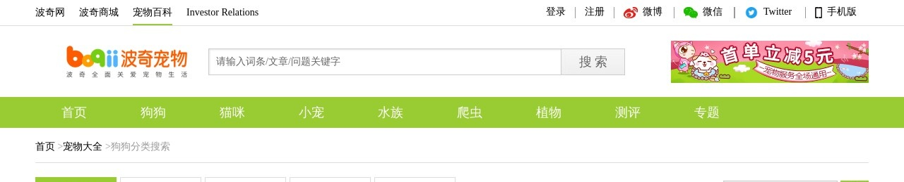小型玩赏犬