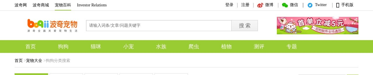 中型伴侣犬