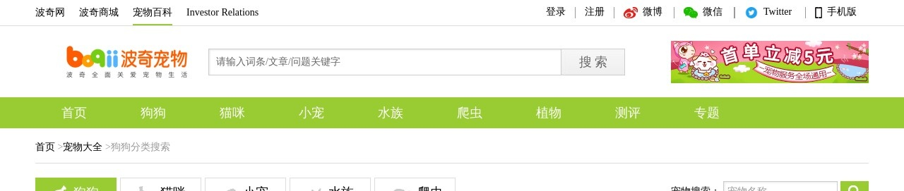 中型守卫犬