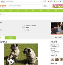巴哥犬价格