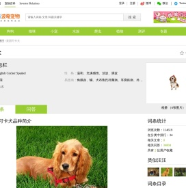 英国可卡犬价格