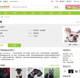 巨型雪纳瑞价格