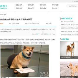 柴犬不能吃的食物有哪些？柴犬日常饮食禁忌