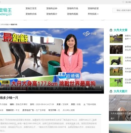 大丹犬价格多少钱一只
